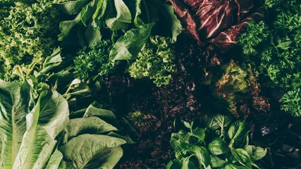 Foto op Canvas top view of different leafy vegetables and herbs on table © LIGHTFIELD STUDIOS