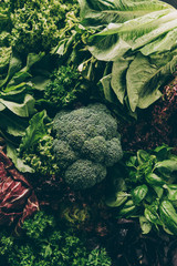 top view of broccoli and leafy vegetables and herbs on table © LIGHTFIELD STUDIOS