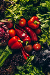 top view of red and green vegetables on table