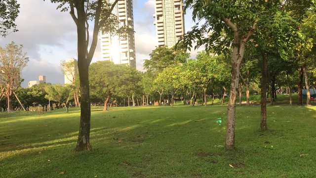 People playing, sporting and relaxing at Daan park Taipei on a summer afternoon.