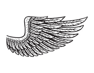 Vintage bird wing monochrome concept