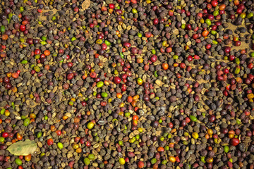 Coffee Beans