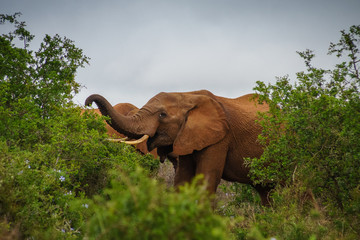 Obraz premium Rundreise Südafrika Roadtrip