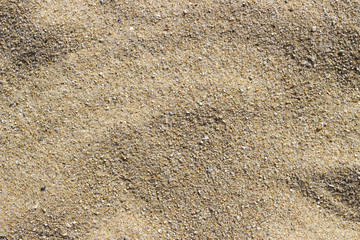 golden sea sand, texture, background, close-up, copy space. Top view