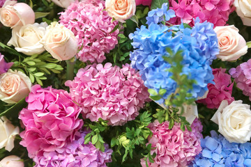 Flowered wedding wall. Decor with color hydrangea and roses. Wedding wall for ceremony and photo.
