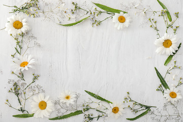 Frame made of beautiful chamomile flowers on wooden background