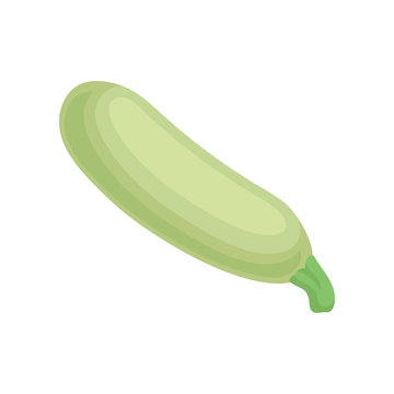 Flat vector icon of zucchini or courgette. Organic green vegetable. Natural and healthy food. Fresh ingredient for vegetarian dish