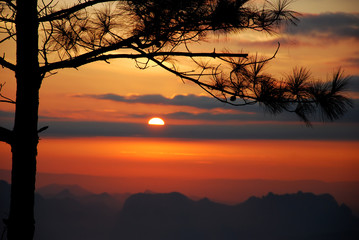 Naklejka premium Beautiful scene, Phu Kradueng National Park at Sunset in Loei Province of thailand
