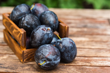 Fresh ripe plums in wooden box close