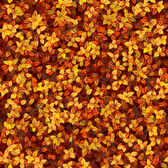 Бесшовная векторная текстура красной, оранжевой и желтой осенней древесной листвы с ветками