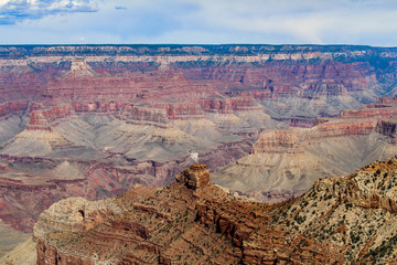 グランドキャニオン