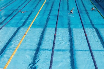 Sports pool, training.