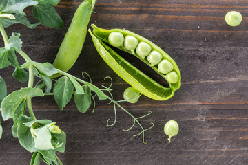 Green peas with leaves