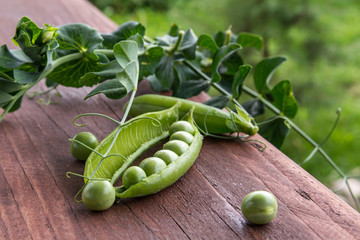 Green peas with leaves