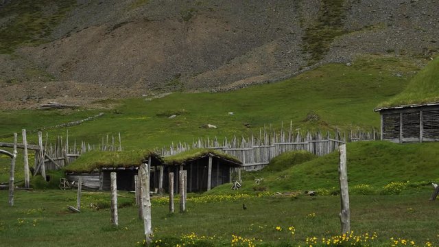 old viking village with wood houses and grass roof