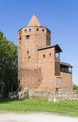 Rawa Mazowiecka, ruiny zamku książąt mazowieckich