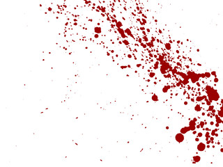Blood drops and splatters on white background. Vector illustration