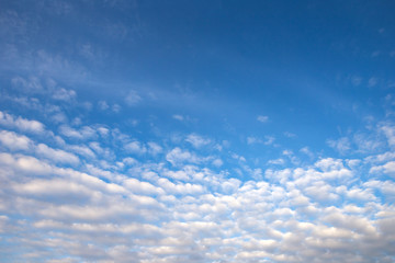 Naklejka na ściany i meble clouds in the blue sky.