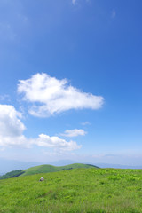 Obraz na płótnie Canvas 夏の霧ヶ峰高原
