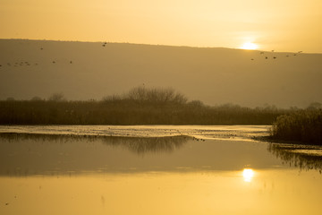 Sunrise in Agamon Hula bird refuge