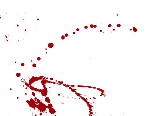 Blood drops and splatters on white background. Vector illustration