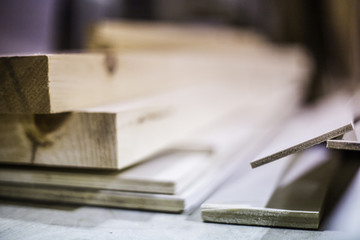 Wood Focus Front, Shallow DOF