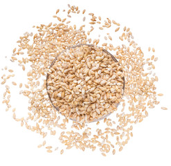 Wheat grains in bowl on white background