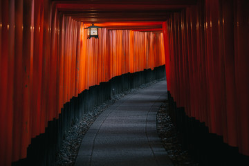 Fototapeta premium Pathway orii gates at Fushimi Inari Shrine at night and rain Kyoto, Japan.