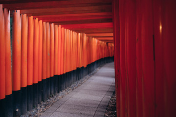 Pathway orii gates at Fushimi Inari Shrine at night and rain Kyoto, Japan.