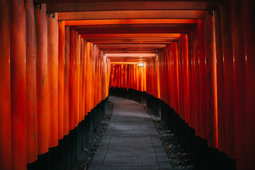 Fototapeta premium Pathway orii gates at Fushimi Inari Shrine at night and rain Kyoto, Japan.