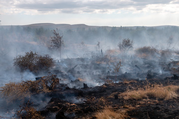 A smouldering grass fire next to a forest on a Welsh mountain