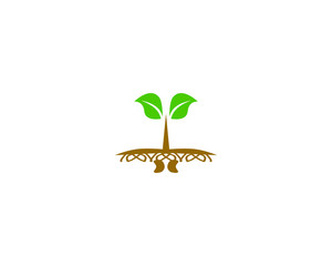 seed sprout logo