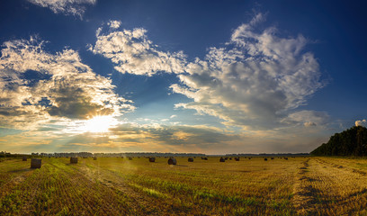 Naklejka premium Straw bales in fields farmland with blue cloudy sky at harvesting time.