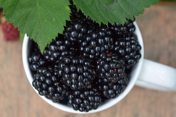 Ripe juicy fresh blackberries in a white cup in the garden in the summer