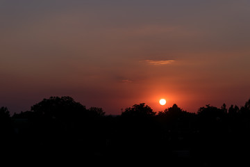 sunset / sunrise, black trees in the foreground
