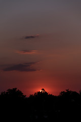 sunset / sunrise, black trees in the foreground