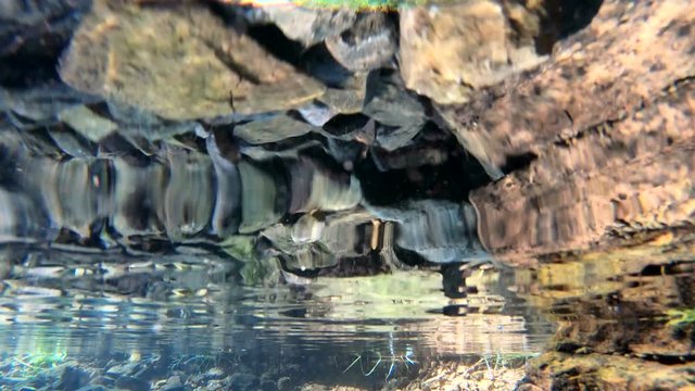 Quellwasser, Quelle, Elsavaquelle, Spessart, 