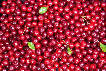 background of red ripe cherries