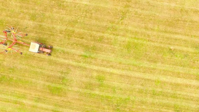 Aerial view to harvester on meadows. Harvest of hay field. Industrial background on agricultural theme. Agricultural production from above. Agriculture and environment in European Union. 