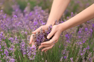 Beautiful young woman touching lavender in field on summer day