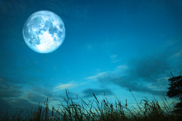 full blood moon over silhouette grass and colorful sky © darkfoxelixir