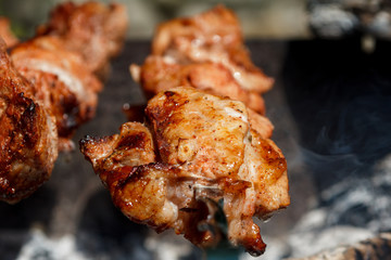 Fried meat on charcoal
