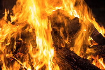 Firewood burning in the fire. Burning fire.
