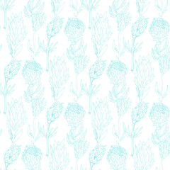 hand drawn protea seamless pattern vector black and white