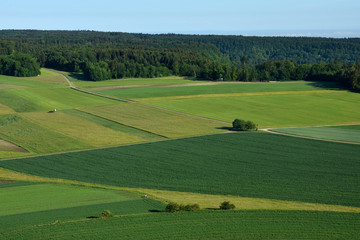 Fototapeta na wymiar Landschaft auf der Schwaebischen Alb; Aecker; Wiesen; Felder; Wald;