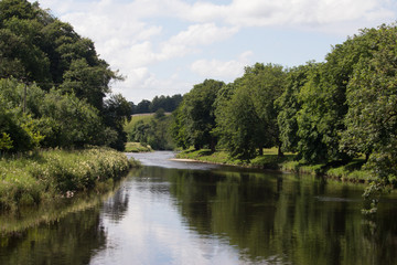 Fototapeta na wymiar Yorkshire river in Summer