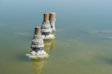 Wooden pillars with crystallized salt on Urmia Salt Lake. Iran