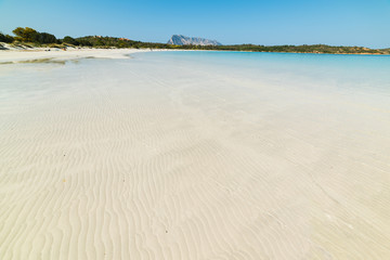 beautiful Cala Brandinchi