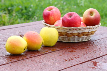 Fresh apples on the table in the garden.