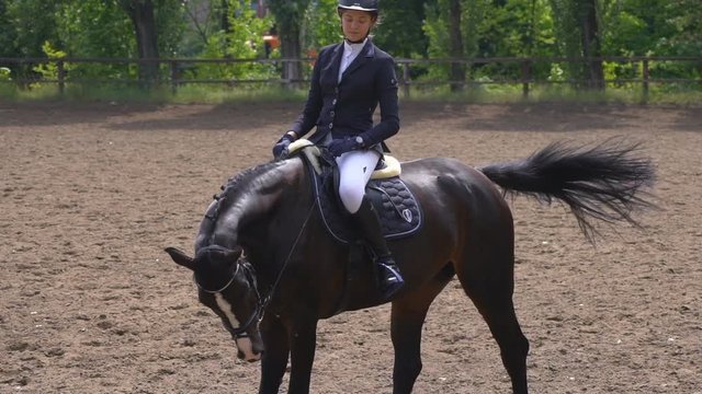 a young girl jockey riding a horse in a sand circle. Sunny day. empty arena for dressage. strong muscular horse tired. Slow motion Fool HD
